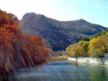 新澳天天开奖资料大全旅游团，对夹式消声止回阀